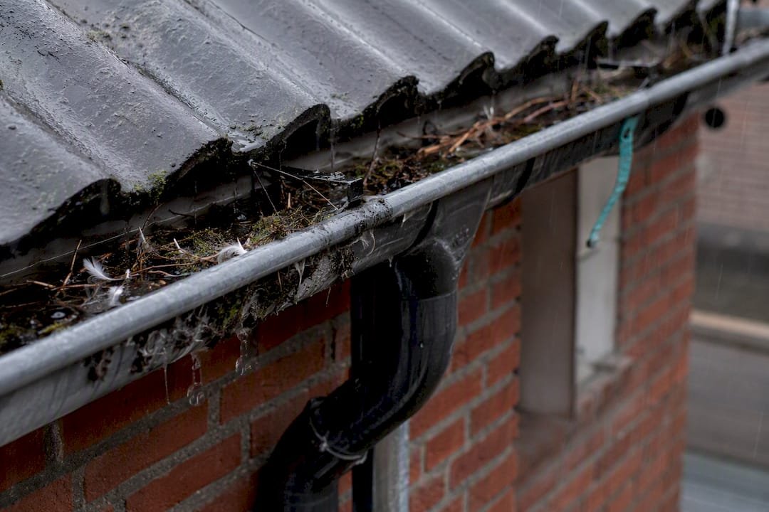 Nestmateriaal verstopt dakgoot onder het pannendak