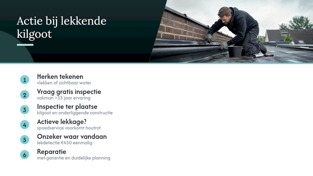 Gratis dakinspectie en spoedservice bij een lekkende kilgoot — overview diagram