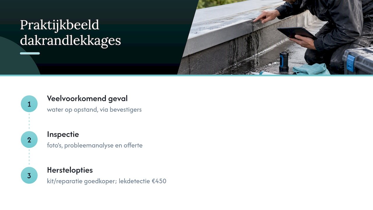 Wat we in de praktijk tegenkomen bij dakrandlekkages — overview diagram