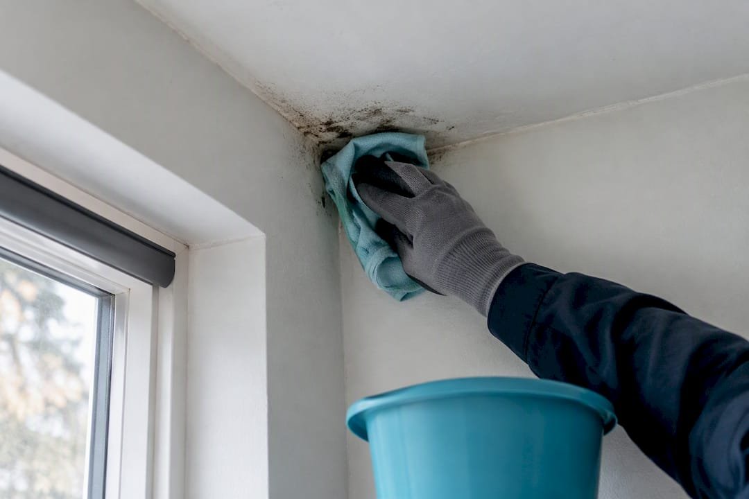 Dakdekker verwijdert schimmelplek in het plafond